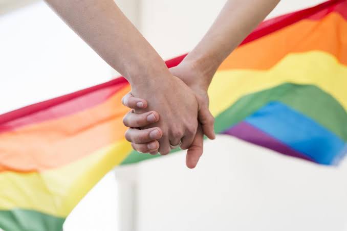 Comisión de Constitución de Cámara de Diputados aprobó idea de legislar matrimonio igualitario