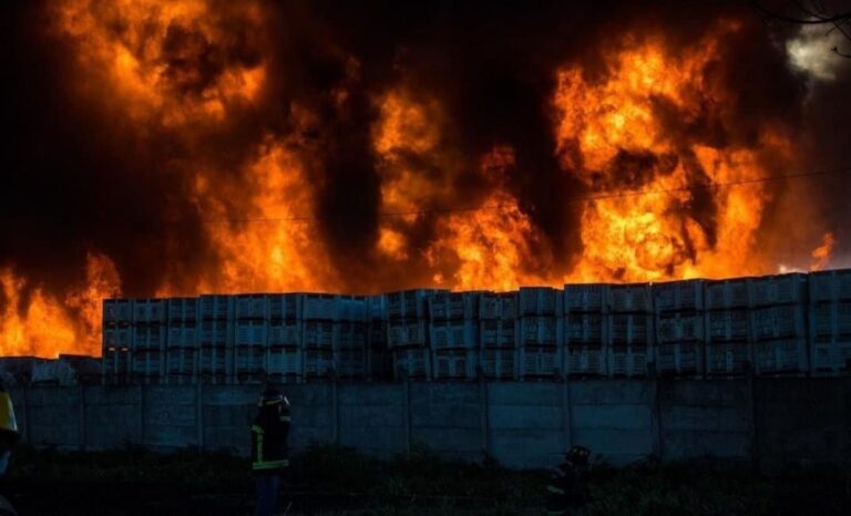 Bomberos advierte posibles rebrotes tras incendio en planta Agrozzi de Teno y Conaf aclara permiso de quema