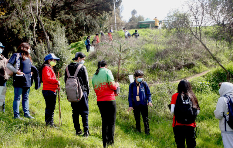 Niños y jóvenes realizaron jornada de reforestación del Parque Cerro Condell de Curicó