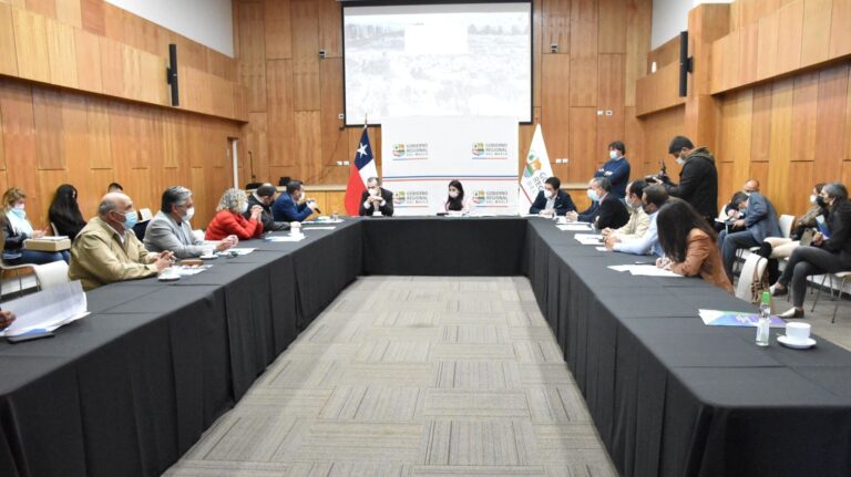 Alcaldes se reunieron con gobernadora del Maule y el INDH por proyecto de torres de alta tensión