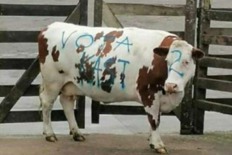 Crueldad animal: Partidarios de Kast rayan animal en subasta para llamar a votar por él