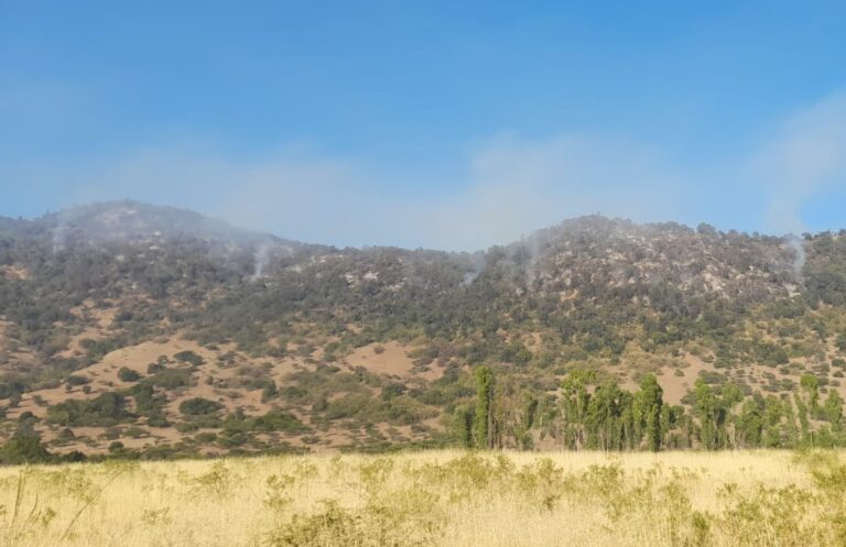 Incendio forestal en Sagrada Familia ha consumido 30 hectáreas en sector Los Maquis