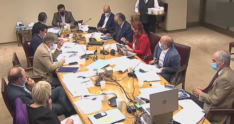 Matrimonio igualitario: Comisión Mixta debate proyecto para posterior votación