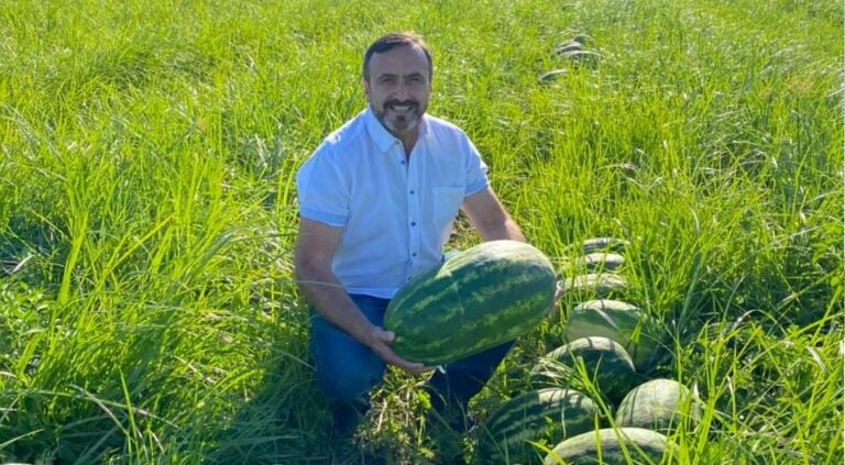 Diputado electo Francisco Pulgar ayuda a pequeños agricultores del Maule a comercializar sus productos de temporada
