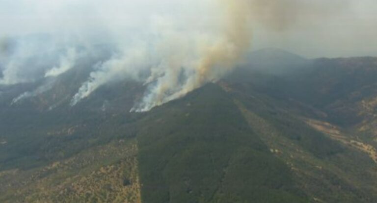 Continúa activo Incendio forestal en La Aguada de Villa Prat