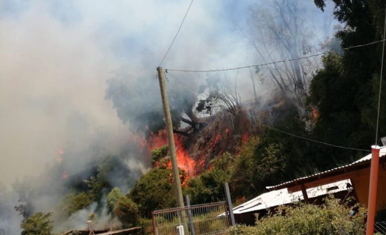 Incendio forestal afecta a sector Los Maquis de Romeral