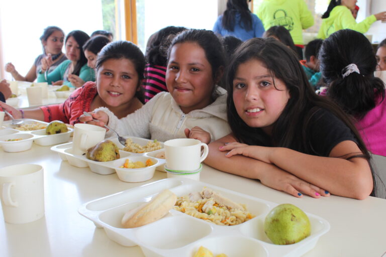 Continúa licitación del Programa de Alimentación Escolar de Junaeb