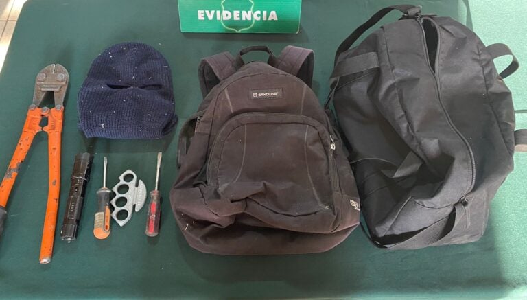 Carabineros frustró robo a céntrico local comercial de Curicó