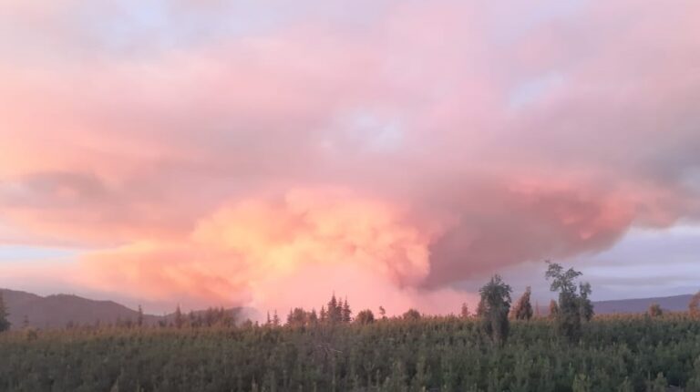 Incendio forestal en sector de Chequenlemu afecta 150 hectáreas de bosque