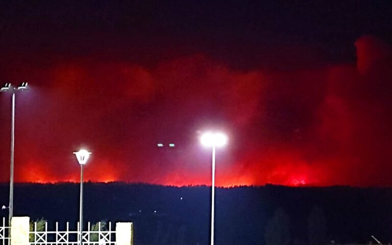 Onemi declaró Alerta Roja por incendios forestales en comunas del Biobío