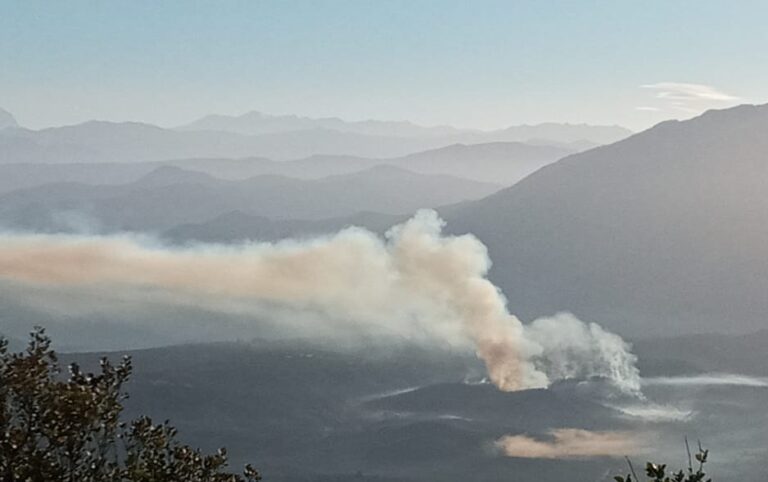 Bomberos combate incendio forestal en la precordillera de Curicó