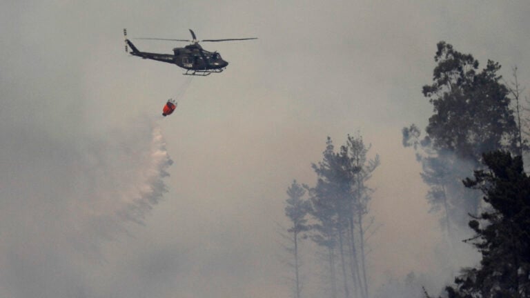 Incendio forestal en Vichuquén fue contenido tras declararse alerta roja