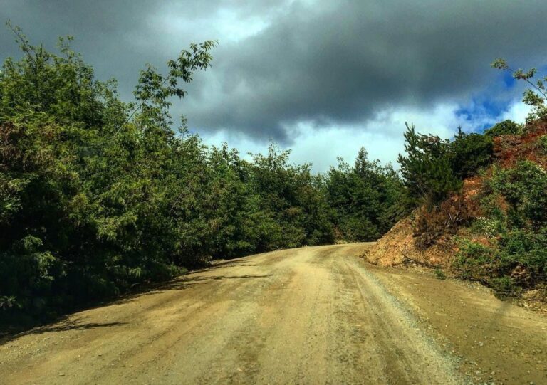 Dirección de Vialidad inició trabajos en la Ruta J-80 que une a La Higuera con Llico