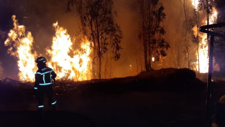 Incendio en Romeral fue controlado y alcalde llama a denunciar a autor intencional