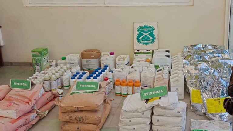 Carabineros llama a reconocer productos químicos incautados en Teno