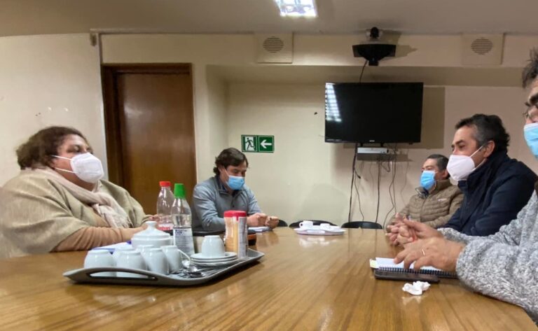 Diputado Aléxis Sepúlveda se reunió con la seremi de Transportes para analizar baja frecuencia de locomoción colectiva en el Maule