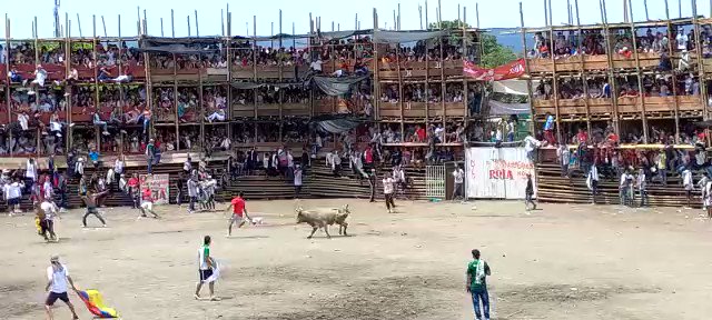 Al menos cuatro muertos deja derrumbe en corrida de toros en Colombia