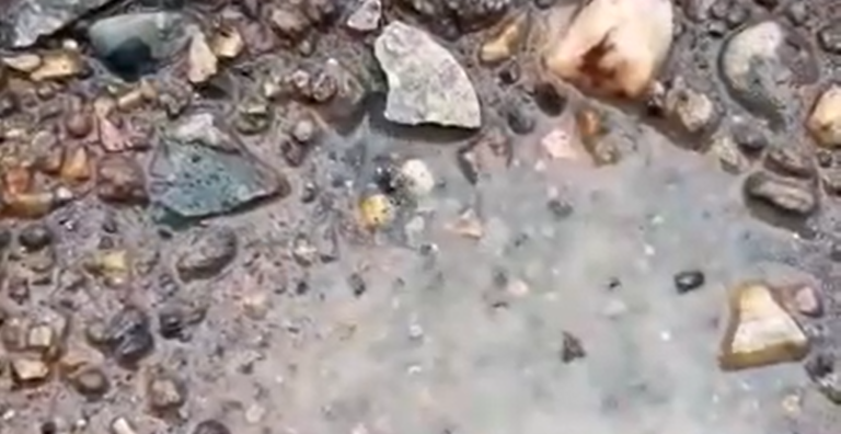 Insólito afloramiento de agua caliente cerca del mar en Llico