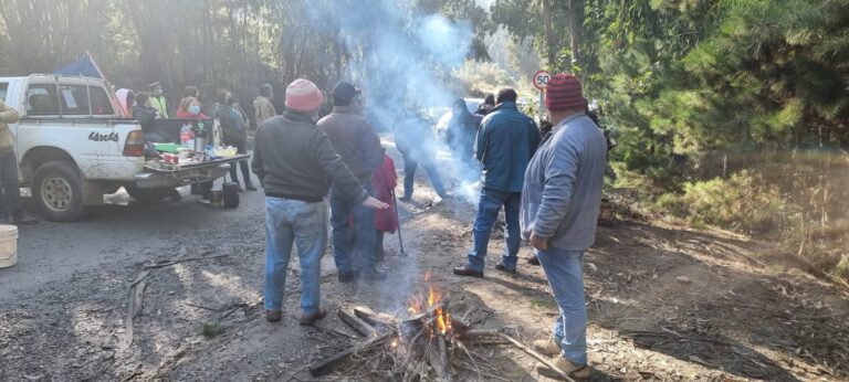 Vecinos de Los Sauces de Hualañé se tomaron la Ruta J-80 entre Hualañé y Llico
