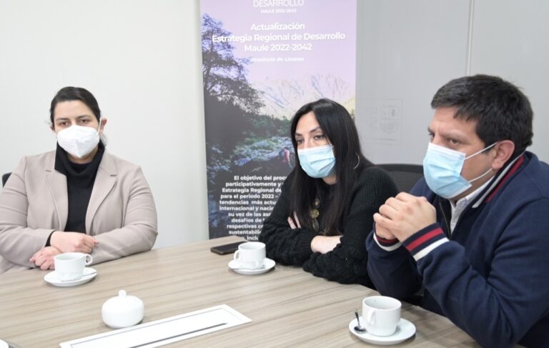 Gobernadora Regional del Maule se reunió con Subsecretaria de Servicios Sociales