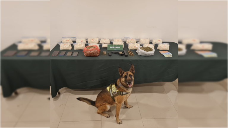 Traficantes son detenidos con más de 15 kilos de pasta base en el peaje Quinta