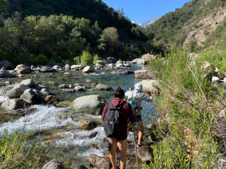 Gobierno Regional encabezará mesa de conservación “Bellotos del Sur” en Linares