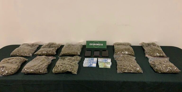 Tribunal de Curicó dejó en libertad a sujetos detenidos con más de 5 kilos de marihuana