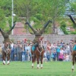Suspenden presentación del Cuadro Verde y Orfeón Nacional de Carabineros por aniversario de Curicó