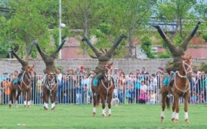 Tras 30 años de espera: Vecinos de Los Niches autogestionan inédita presentación del Cuadro Verde de Carabineros
