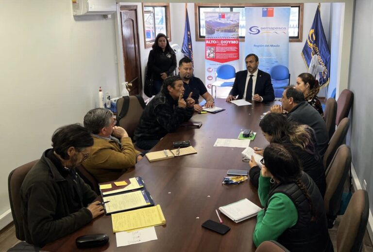 Diputado Francisco Pulgar velará por transparencia en la postulación de la Ley de Caleta