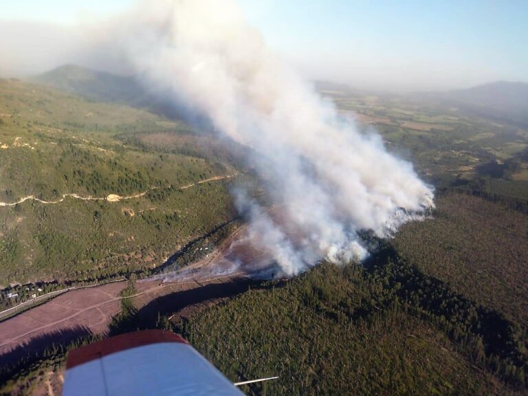 Decretan alerta roja en Molina y Río Claro por incendio forestal