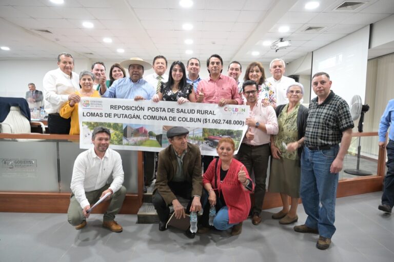 Consejo Regional del Maule aprobó más de mil millones para nueva posta en Lomas de Putagán -Colbún