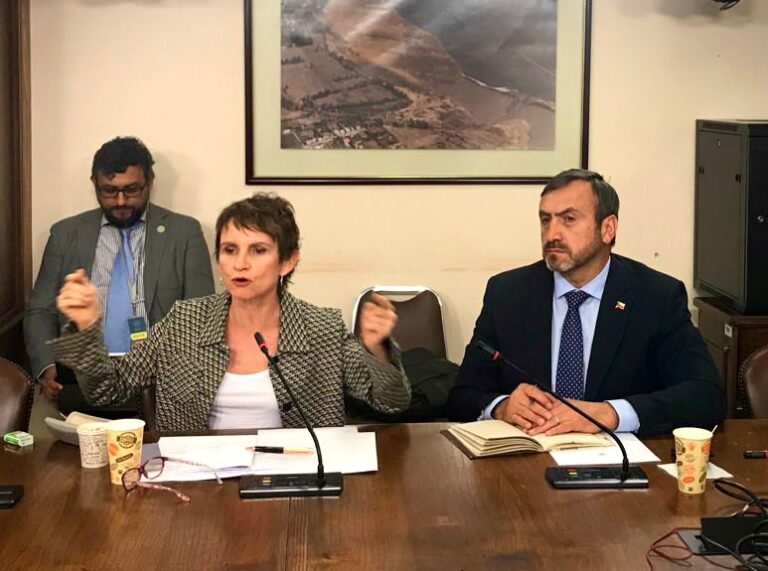 Diputado Pulgar sobre homicidios en el Maule: “pareciera que se están normalizando”