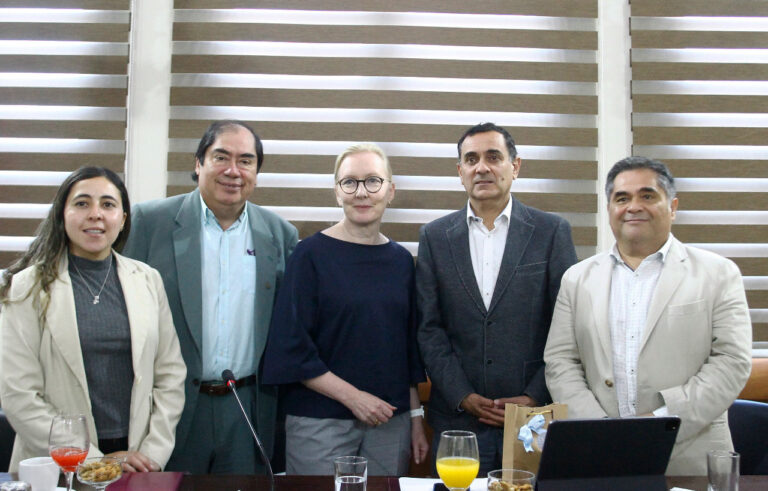 Curicó y Finlandia retoman trabajo colaborativo en diversas temáticas