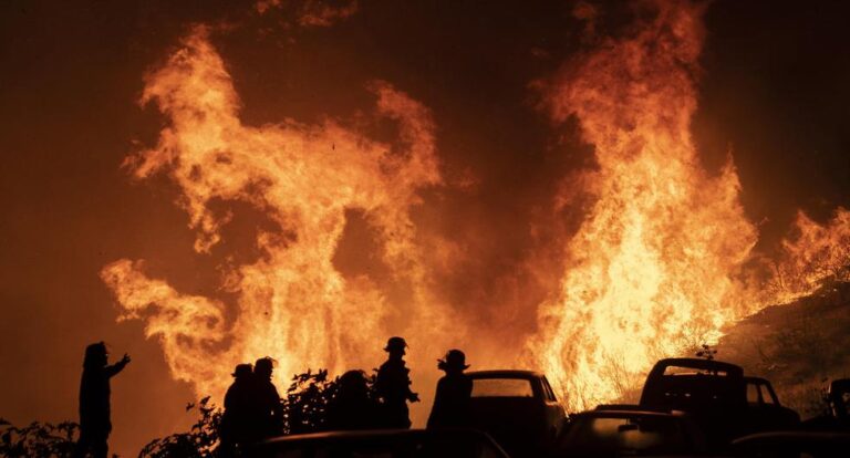 Conaf confirma que incendio en Viña del Mar "es de origen humano"