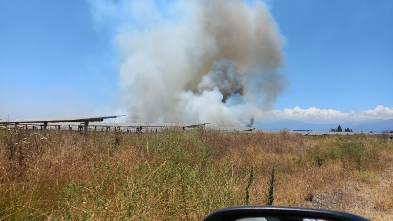 Incendio de pastizales afectó a sector de Quilvo Alto
