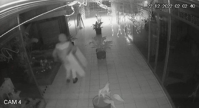 Detenido delincuente tras noveno robo en Galería Estado de Curicó