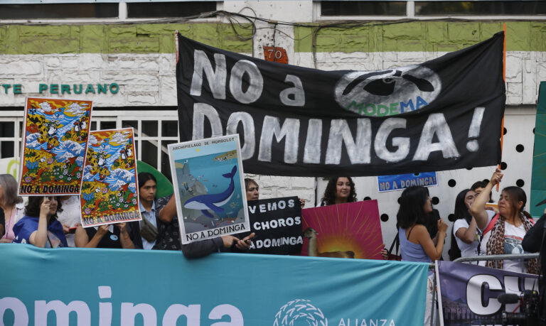 Rechazan proyecto Dominga tras negativa unánime de ministros