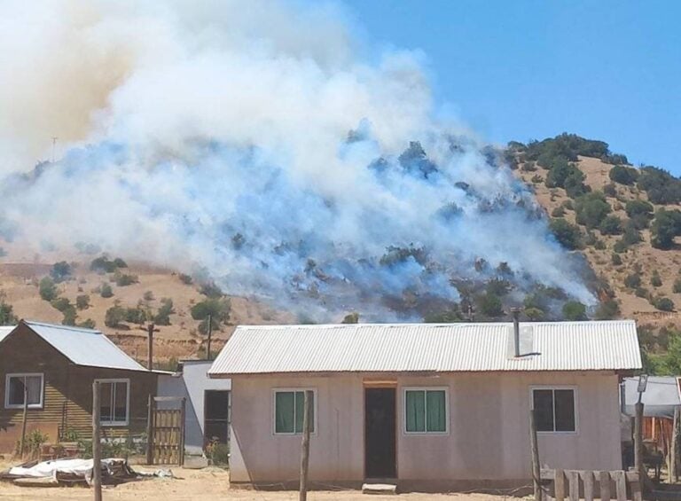 Alerta: incendio forestal en sector Orilla de Navarro