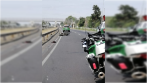 Fiscalía pide al Tribunal Constitucional rechazar requerimiento de conductor condenado por fatal siniestro vial en Molina