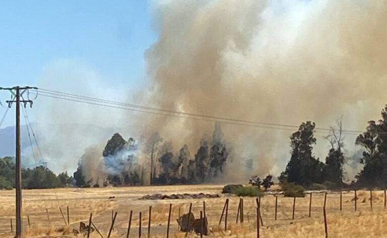 Alerta: Incendio forestal en cajón del río Guaiquillo
