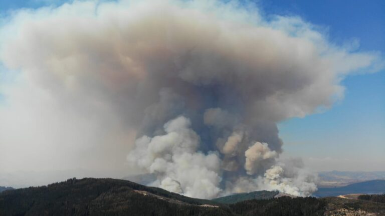 Son 5 los incendios activos en el Maule, conoce cuáles son: