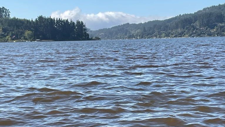“Las autoridades regionales son los principales responsables de la contaminación en el Lago Vichuquén”, expresó el alcalde Patricio Rivera