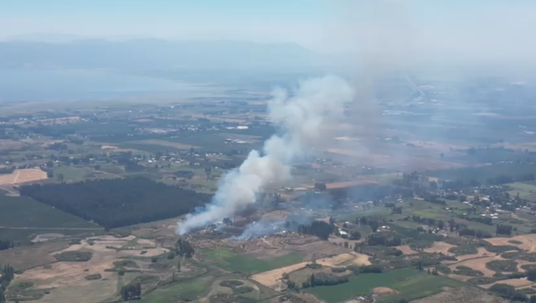 Incendio forestal obliga a evacuar viviendas en Teno