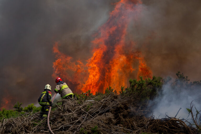 Declaran alerta roja para Sagrada Familia por incendio forestal