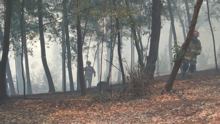Incendio en Cerro Condell puso en peligro antenas de telecomunicaciones y radioemisoras