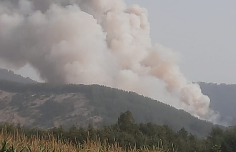 Declaran alerta roja en Curepto por incendio forestal en Huaquén: fuego amenaza sectores urbanos