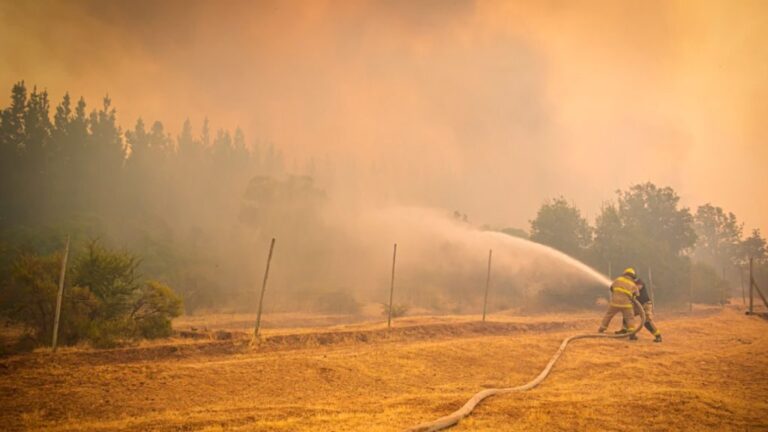 Brigadistas colombianos llegan a colaborar en el incendio de Longaví