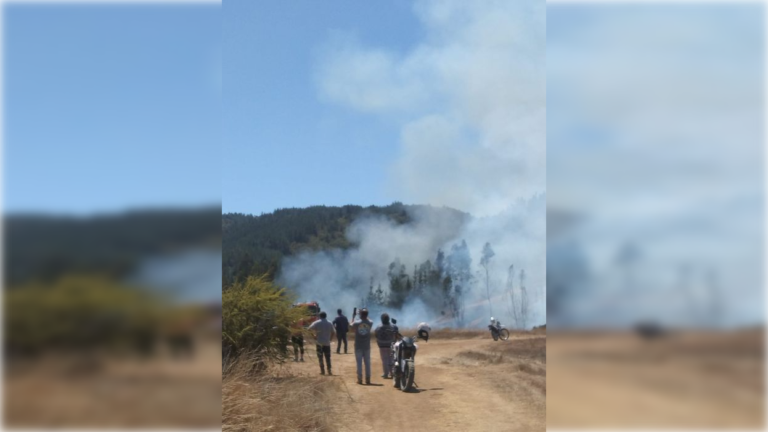Incendio puso en riesgo varias casa en Licantén