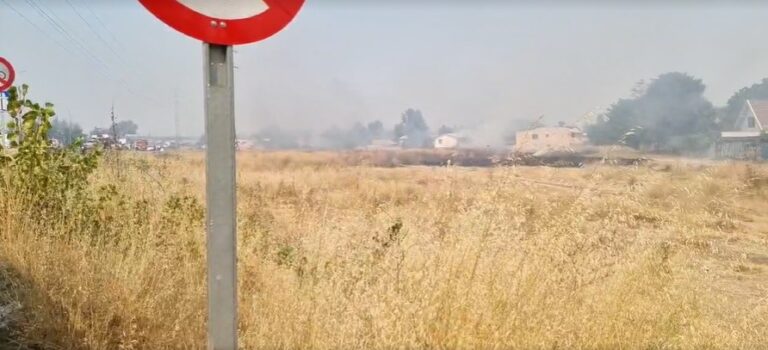 Quema de pastizales puso en riesgo viviendas de la población Iansa en la salida sur de Curicó
